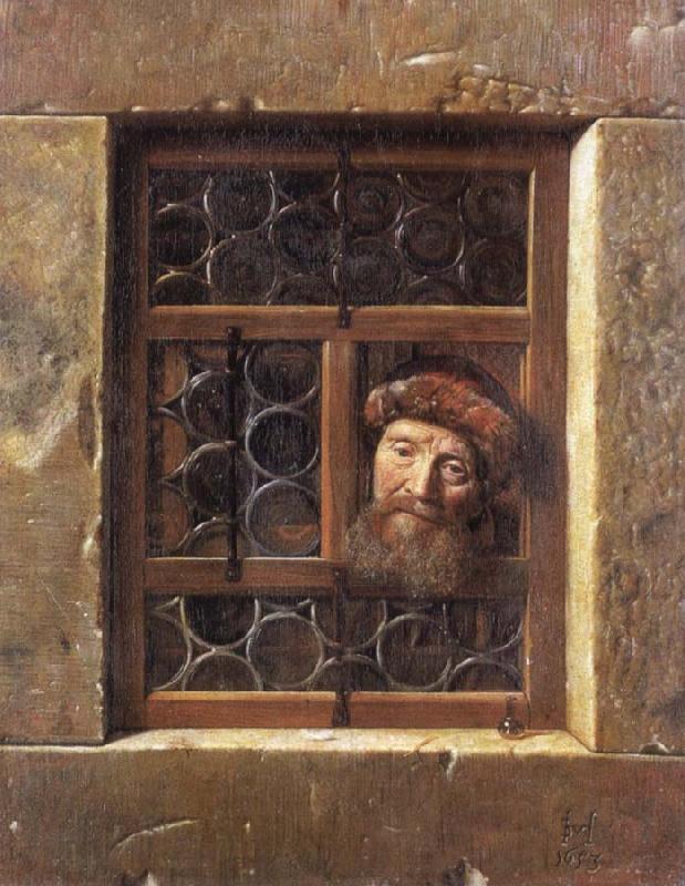 Samuel van hoogstraten Man Looking through a window